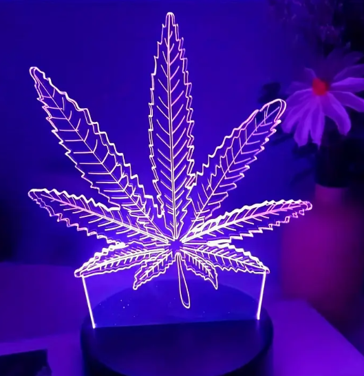 Zrzut ekranu 2025-02-11 142613